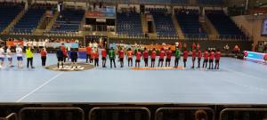 Handballprojekttag